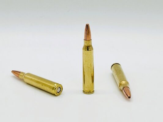 Solid Copper 5.56 – 62gr REX – 20 Rounds