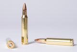 223 – 55gr FMJ – 50 Rounds